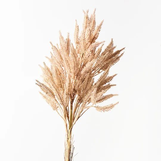 Sorghum Spray | Coffee