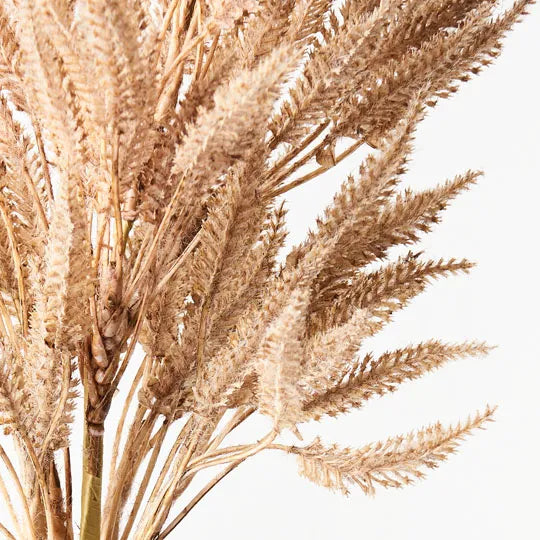 Sorghum Spray | Coffee