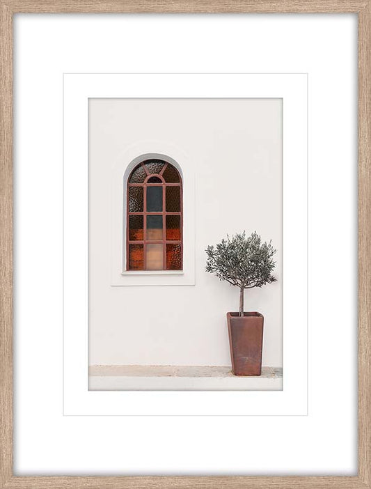 100X76CM OLIVE TREE GLAS