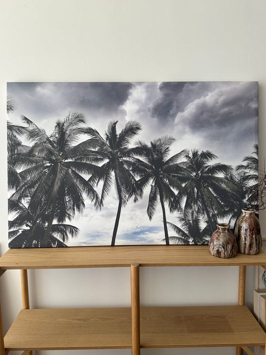 Palm Cove Canvas Print