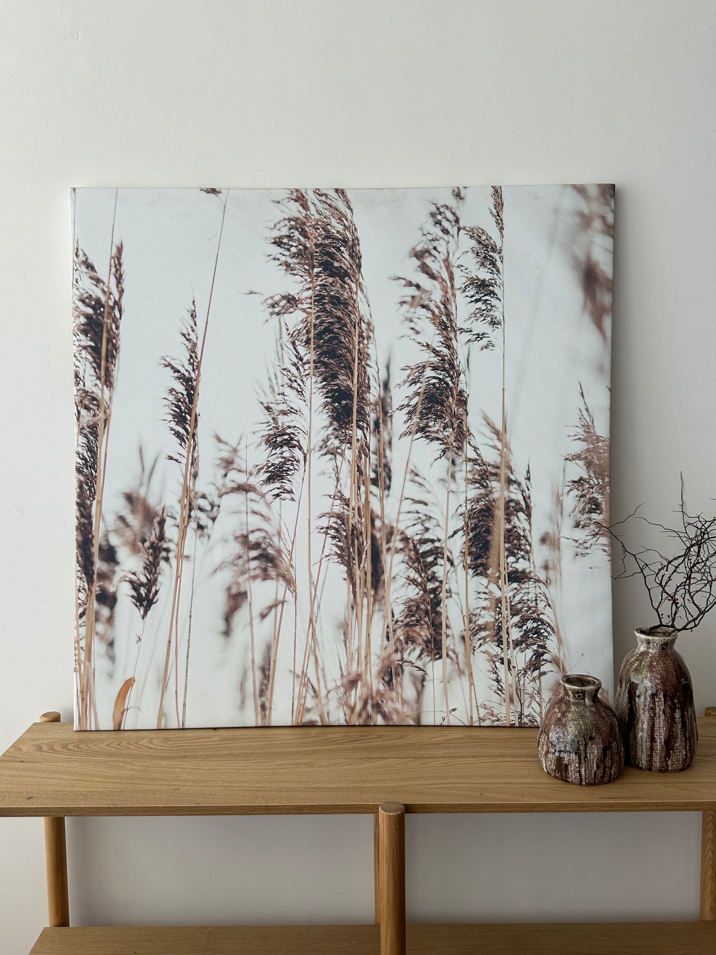 Pampas Canvas Print