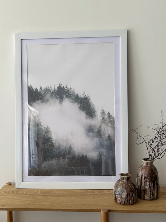 Forest Framed Print