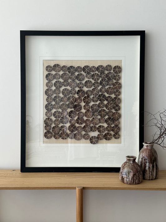 Coconut Shell Framed Print